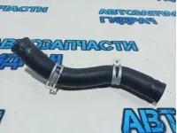 Патрубок радиатора Kia Rio 4 25411H5100.