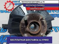 Кулак поворотный передний левый Kia Rio 4 51715H5050.