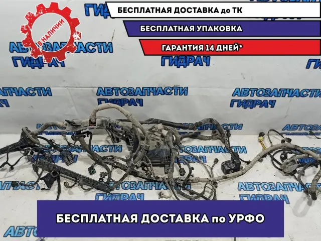 Проводка подкапотная Kia Rio 4.