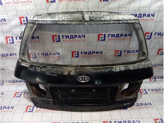 Дверь багажника Kia Carens