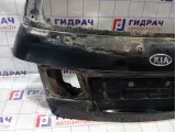 Дверь багажника Kia Carens