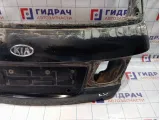 Дверь багажника Kia Carens