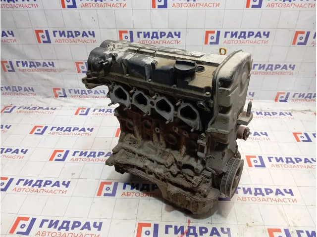 Двигатель Kia Carens KZ34602100