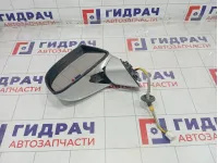 Зеркало электрическое левое Kia Carens 876101D710