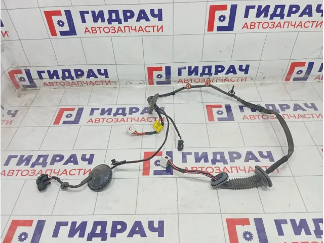 Проводка двери задней правой Kia Carens 916601D001