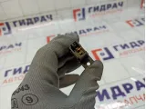 Кнопка многофункциональная Kia Carens
