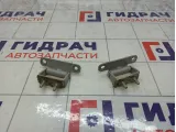 Петли двери багажника Kia Carens