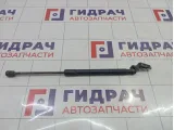 Амортизатор двери багажника левый Kia Ceed (ED) 817701H010