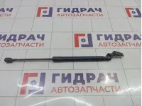 Амортизатор двери багажника левый Kia Ceed (ED) 817701H010