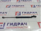 Амортизатор двери багажника правый Kia Ceed (ED) 817801H010