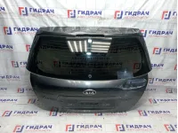 Дверь багажника Kia Ceed (ED) 737001H000
