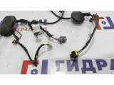 Проводка двери передней правой Kia Ceed 91617-1H170.