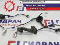 Проводка двери задней левой Kia Ceed 91650-1H010.