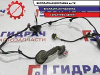 Проводка двери задней правой Kia Ceed 91660-1H010.