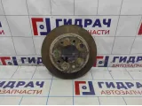 Диск тормозной задний Kia Ceed (ED) 58411-1H300