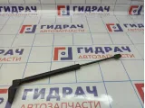 Амортизатор двери багажника левый Kia Ceed (ED) 81770-1H010