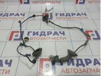 Проводка двери задней левой Kia Ceed (ED) 91650-1H010