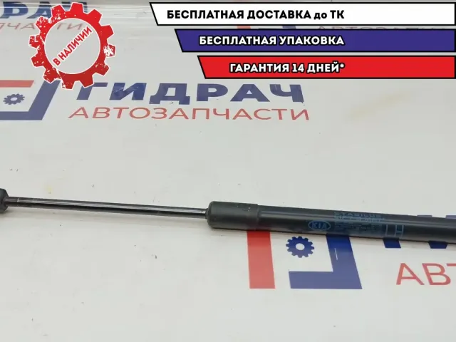 Амортизатор двери багажника левый Kia Ceed 81770-1H010.