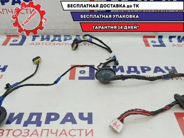 Проводка двери задней левой Kia Ceed 91650-1H030.