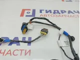 Проводка двери задней левой Kia Ceed 91650-1H030.