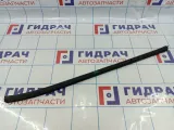 Уплотнитель стекла двери передний правый Kia Cerato (TD) 82241-1M001