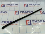 Уплотнитель стекла двери передний правый Kia Cerato (TD) 82241-1M001