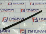 Уплотнитель стекла двери задний правый Kia Cerato (TD) 83241-1M001