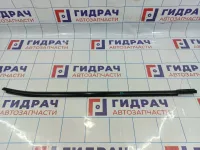 Накладка стекла переднего левого Kia Cerato (TD) 82210-1M000