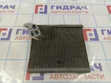 Испаритель кондиционера Kia Cerato (TD) 97139-1M000