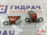 Петли двери задней правой Kia Cerato (TD)