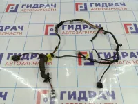 Проводка двери задней правой Kia Cerato (TD) 91660-1M020