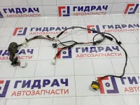 Проводка двери задней левой Kia Cerato (TD) 91650-1M020