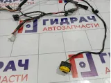 Проводка двери задней левой Kia Cerato (TD) 91650-1M020