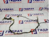 Проводка двери задней правой Kia Cerato (TD) 91660-1M020