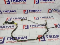 Проводка двери задней правой Kia Cerato (TD) 91660-1M020