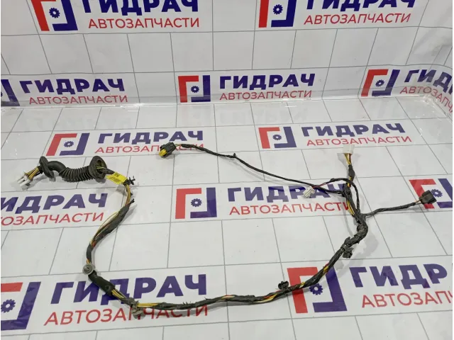 Проводка двери задней правой Kia Cerato (TD) 91660-1M020