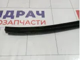 Уплотнитель стекла двери передний левый Kia Cerato (TD) 822311M001WK
