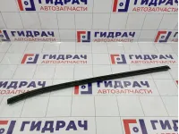 Уплотнитель стекла двери передний правый Kia Cerato (TD) 822411M001WK