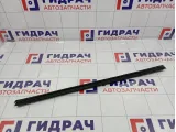 Уплотнитель стекла двери задний правый Kia Cerato (TD) 832411M001WK