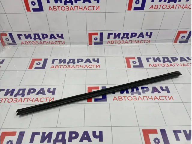 Уплотнитель стекла двери задний правый Kia Cerato (TD) 832411M001WK
