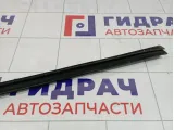 Уплотнитель стекла двери задний правый Kia Cerato (TD) 832411M001WK