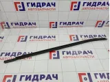 Накладка стекла переднего правого Kia Cerato (TD) 82220-1M000