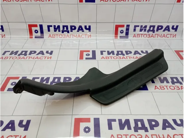 Накладка порога заднего правого внутренняя Kia Cerato (TD) 858851M000WK
