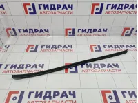 Уплотнитель стекла двери передний левый Kia Cerato (TD) 822311M001WK