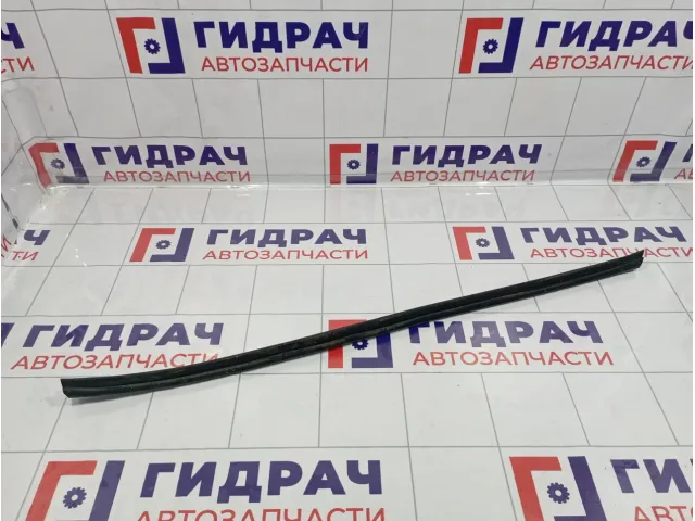 Уплотнитель стекла двери передний левый Kia Cerato (TD) 822311M001WK