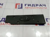 Накладка декоративная на двигатель Kia Cerato (TD) 22405-2B010