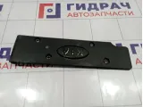 Накладка декоративная на двигатель Kia Cerato (TD) 22405-2B010