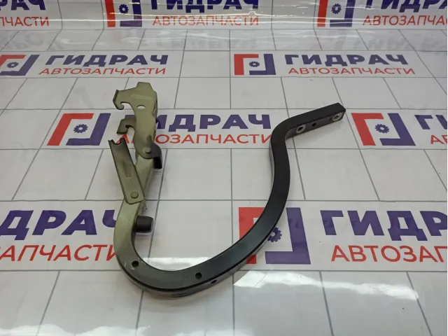 Петля крышки багажника левая Kia Cerato (TD) 79210-1M000