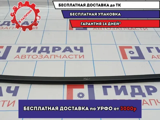 Уплотнитель стекла заднего левого Kia Cerato 3 83231-A7000. Внутренний.