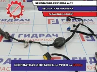 Проводка двери задней левой Kia Cerato 3 91650-A7022.